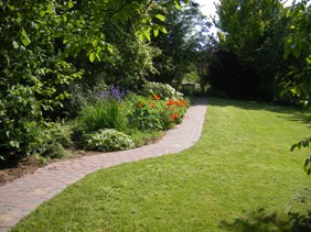 Gartenweg mit Mohn und Iris