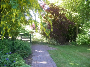 gate wth laburnum and lawn