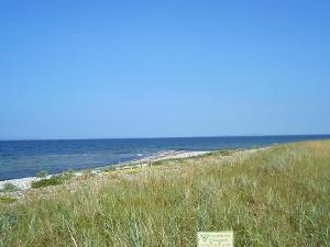 nature reserve at the Baltic Sea Shore
